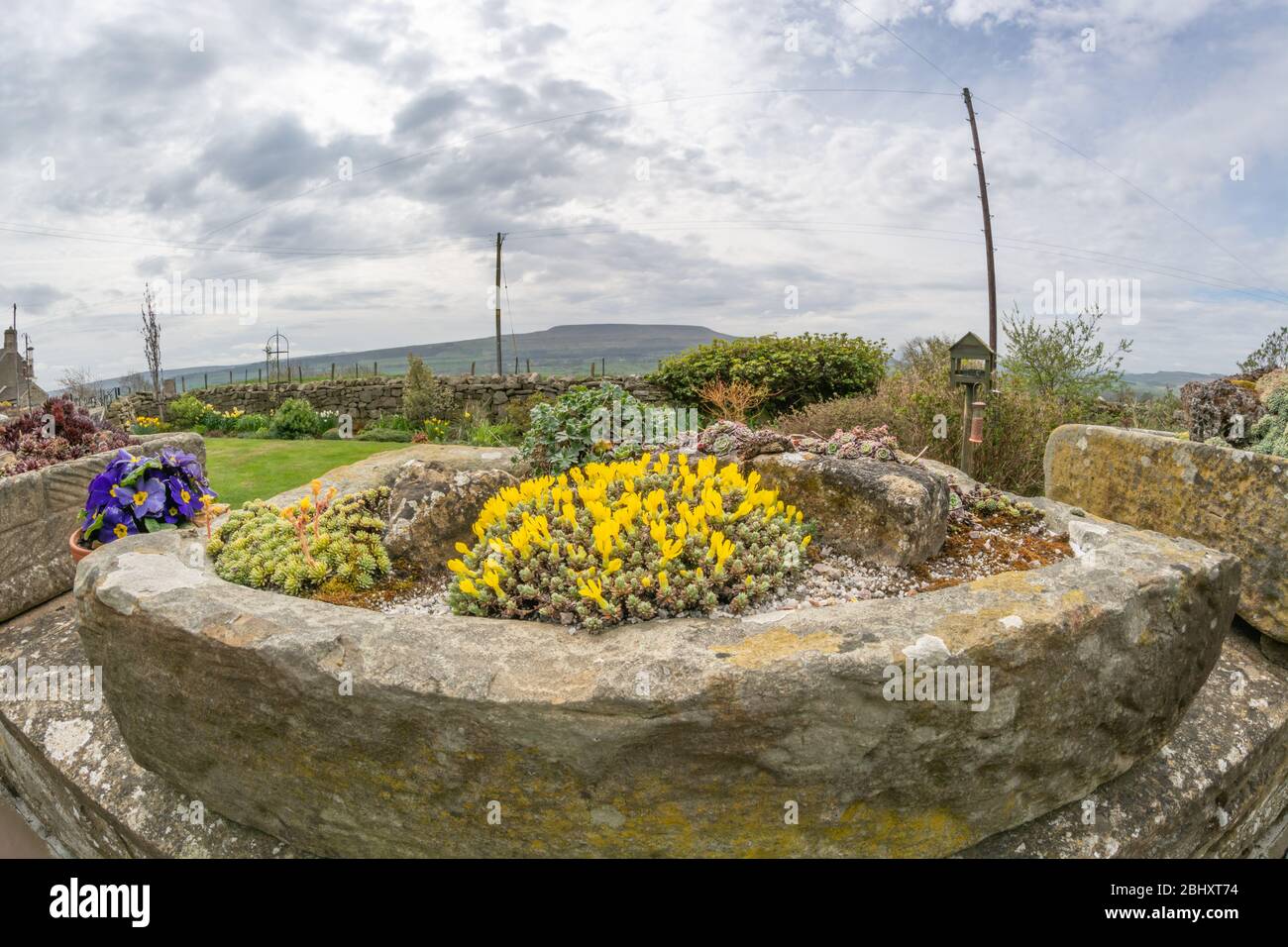 Planted stone garden sink, wide angle view Stock Photo
