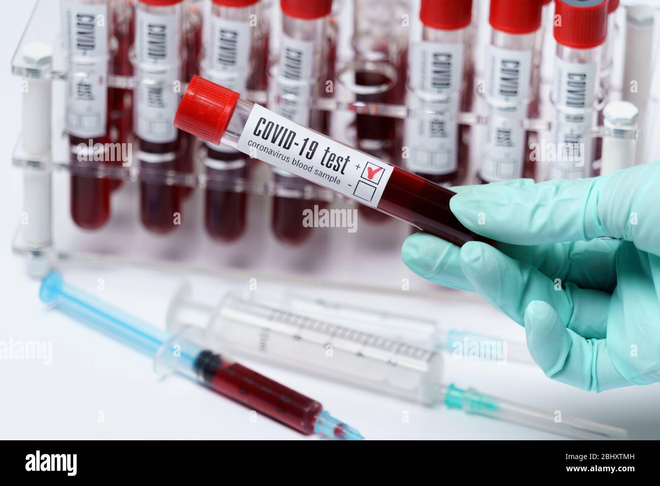 Rack of Tubes of blood sample for testing biological material Stock