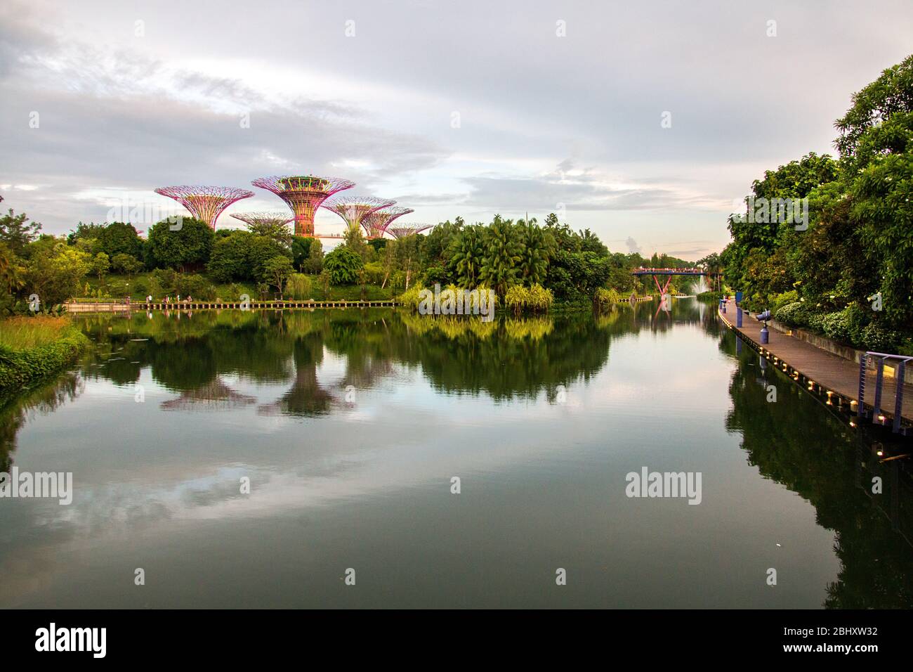 illuminated super tree groves at bay front gardens also known as