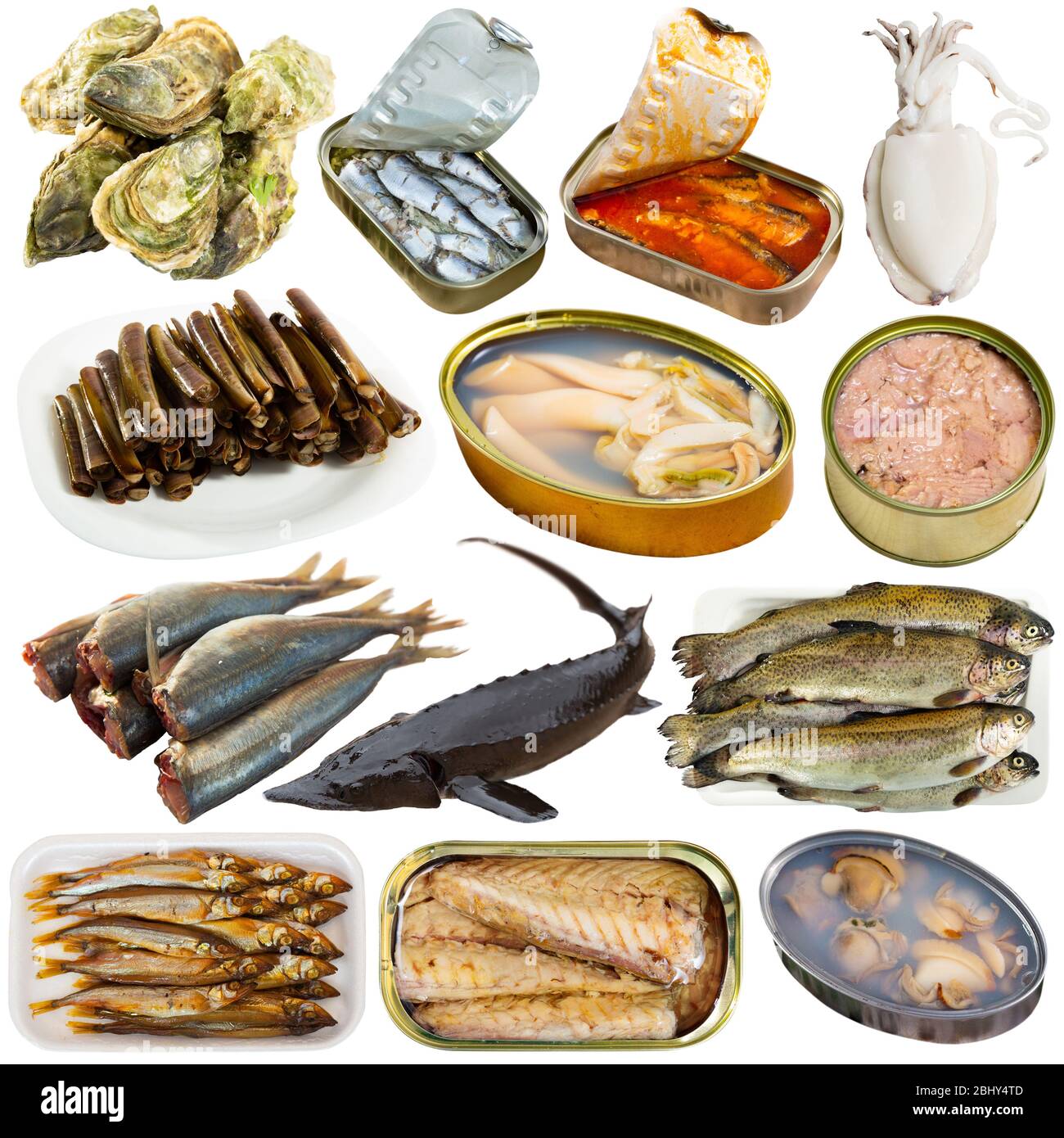 Set of various raw fish and seafood products and semimanufactures ...