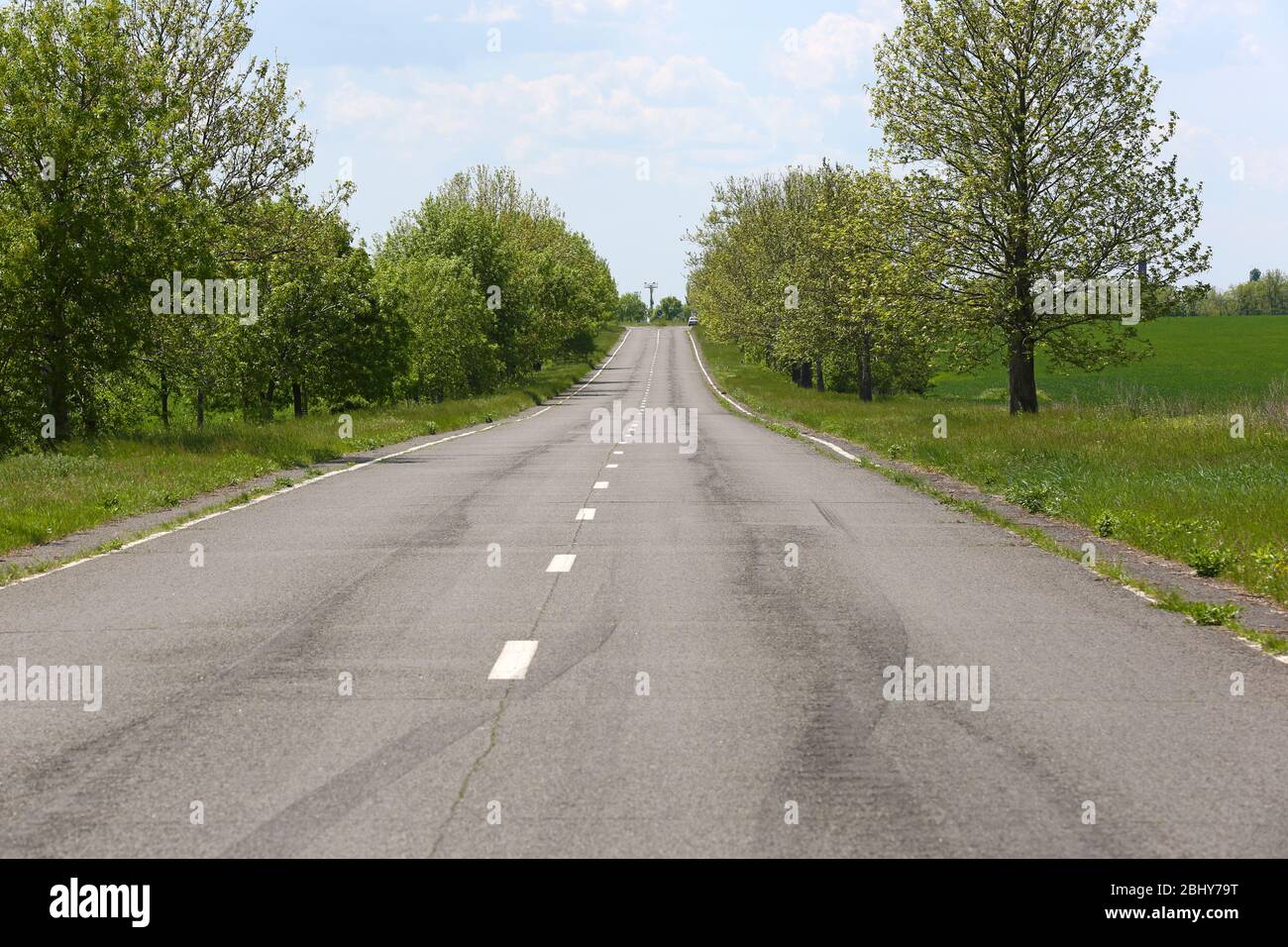 Asphalt road through the green field in spring day Stock Photo - Alamy