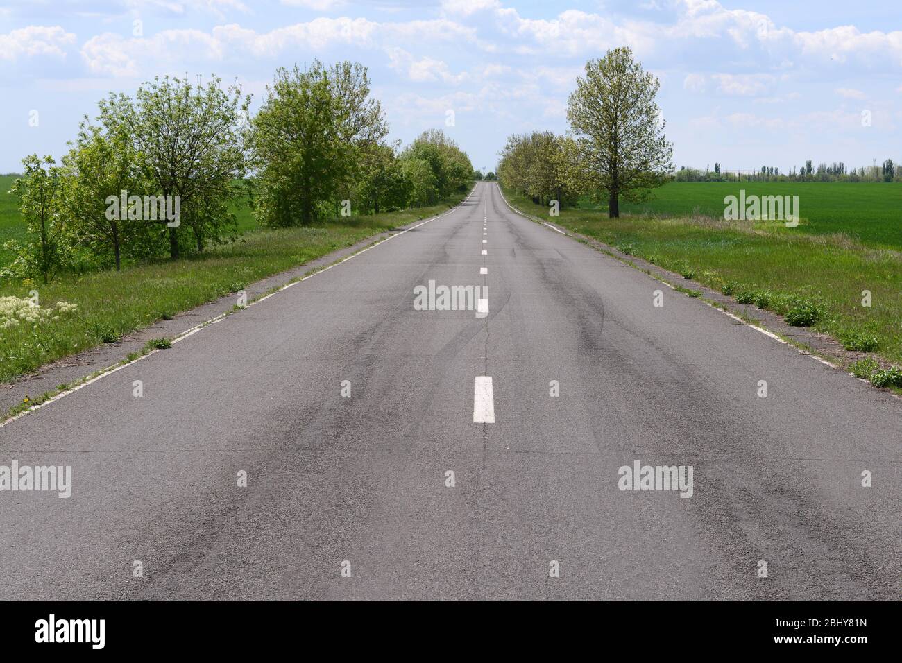 Asphalt road through the green field in spring day Stock Photo - Alamy