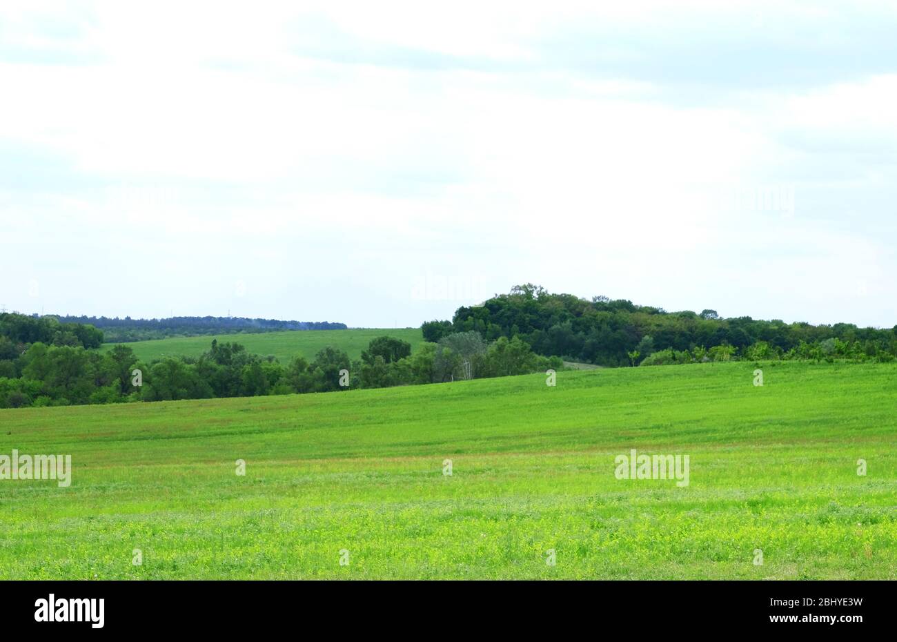 Green field and blue sky Stock Photo - Alamy