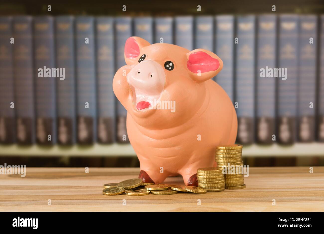 educational piggy bank