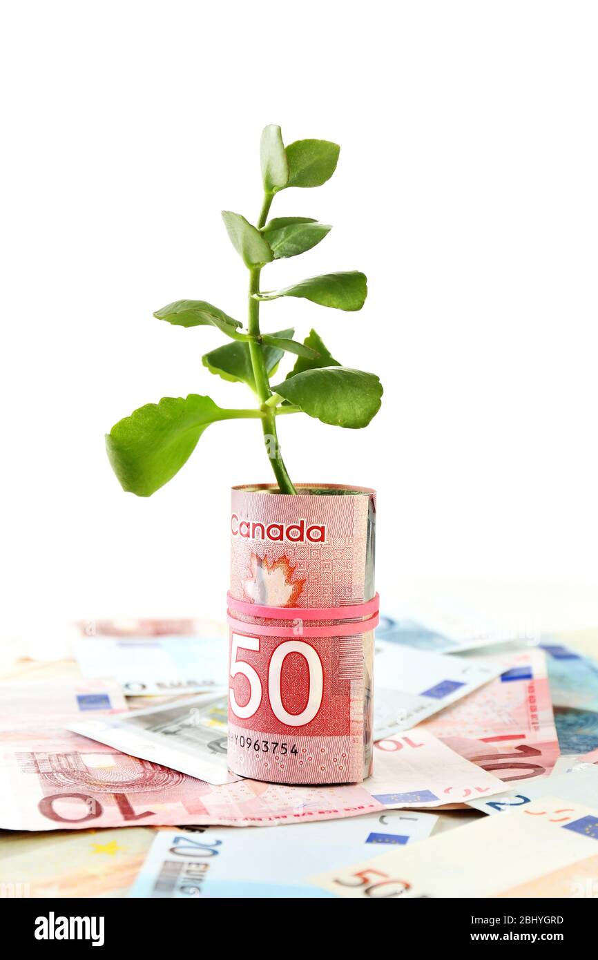 Money with growing sprout isolated on white Stock Photo Alamy