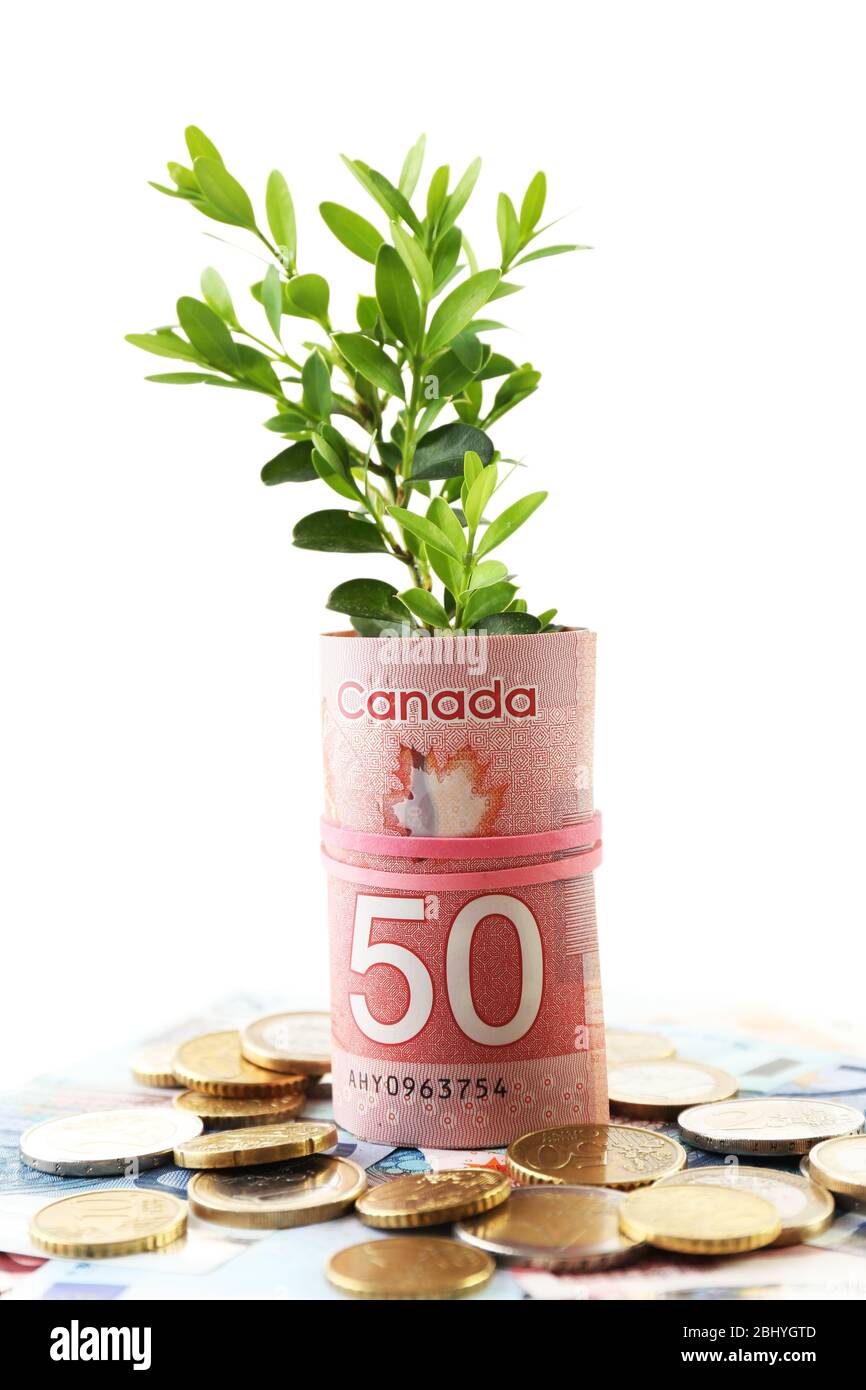 Money with growing sprout isolated on white Stock Photo Alamy