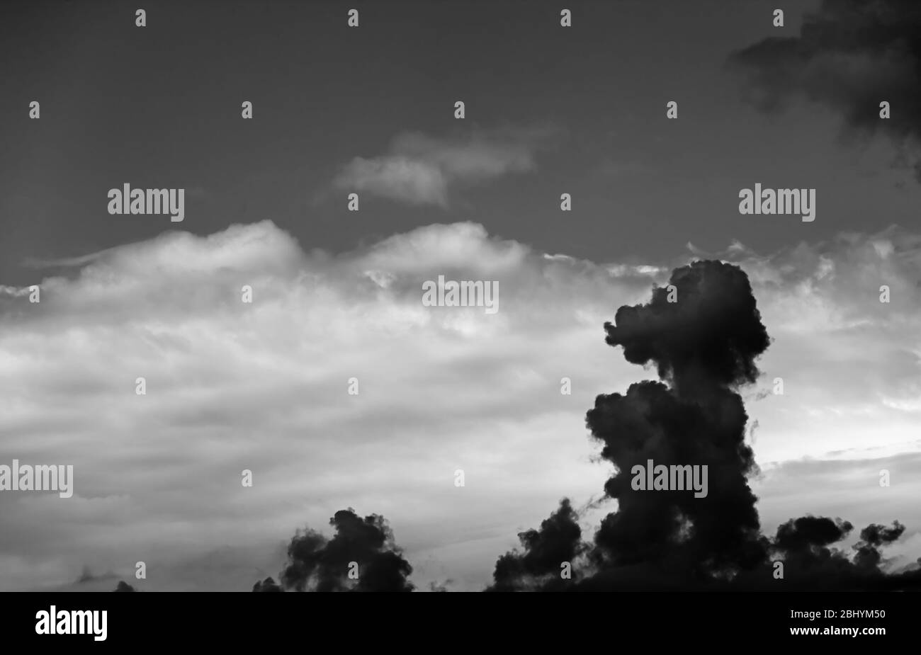 Clouds in form of animals at evening. Black and white toned cloudscape. Stock Photo