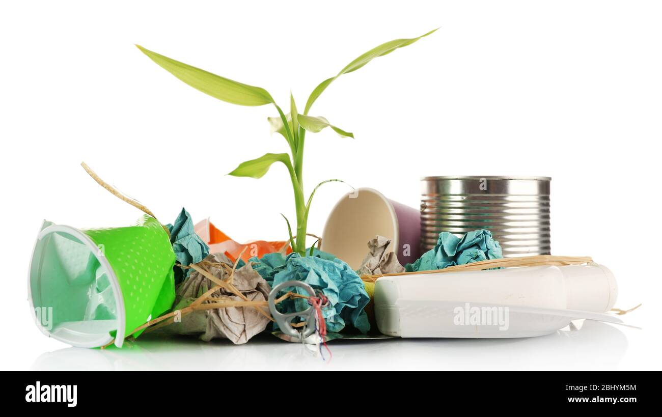 Pile of rubbish with plant isolated on white Stock Photo Alamy