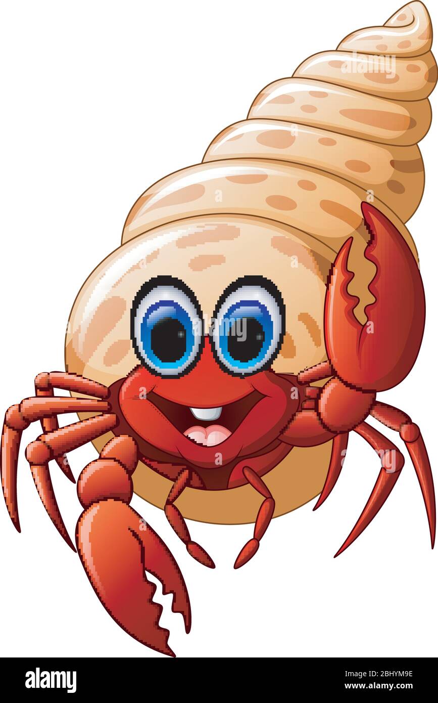 Cartoon hermit crab Stock Vector Image & Art - Alamy Cartoon hermit crab Stock Vector Image & Art - Alamy