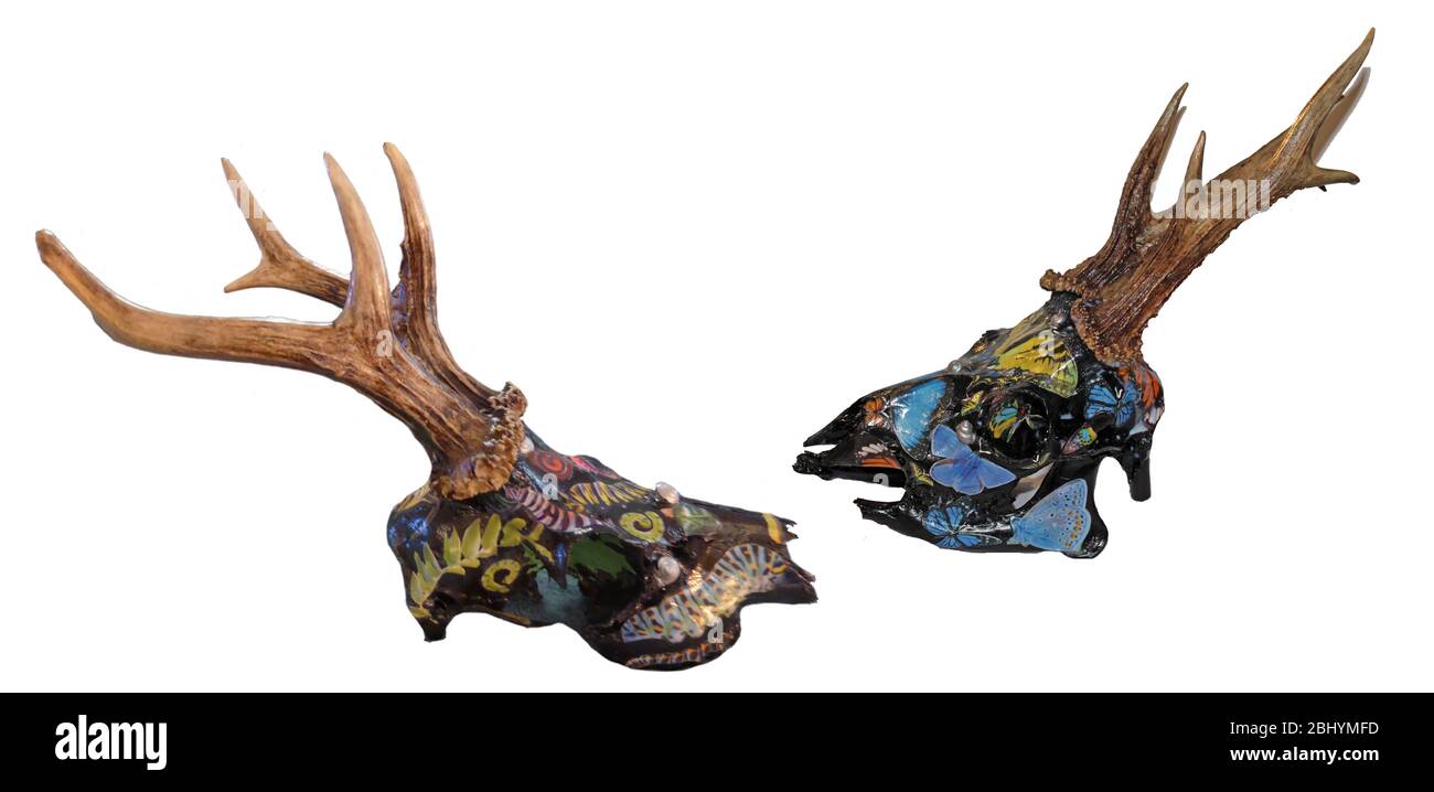 Two decorated roe deer skulls Stock Photo