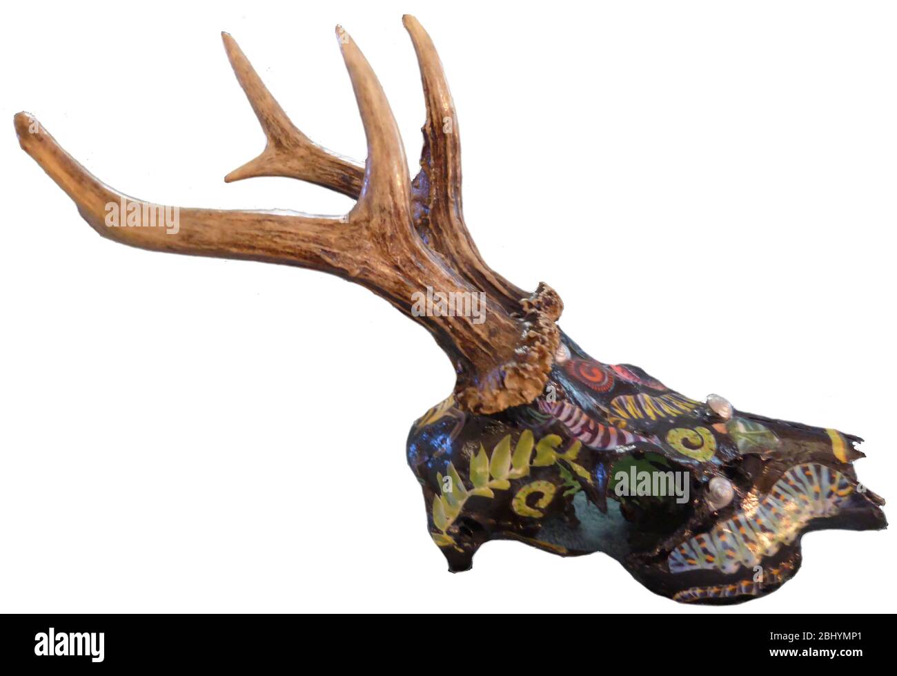 Decorated roe deer skull Stock Photo