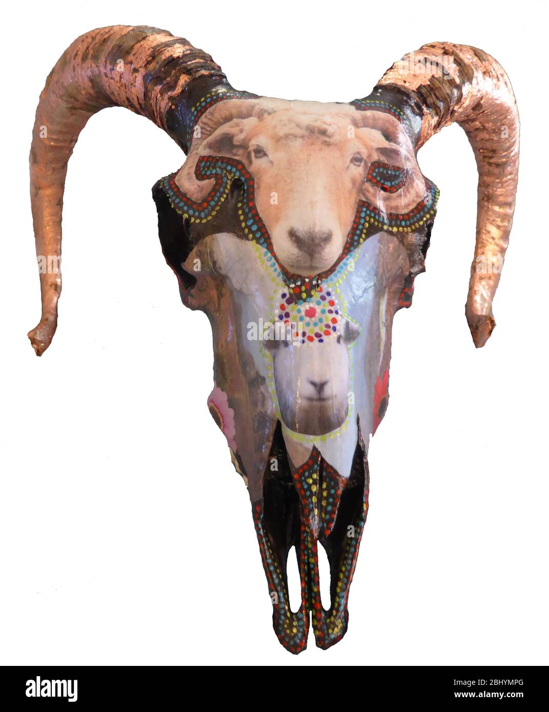 Decorated sheep's skull with horns Stock Photo