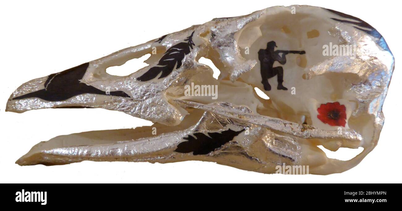 Decorated swan skull Stock Photo