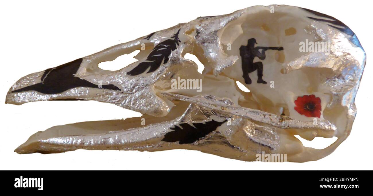 Decorated swan skull Stock Photo Alamy