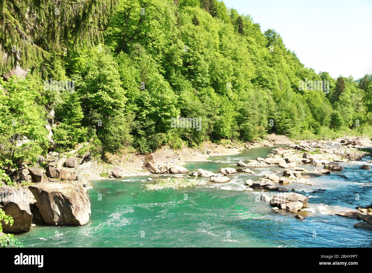 Water flowing on rocks along green trees in park Stock Photo - Alamy