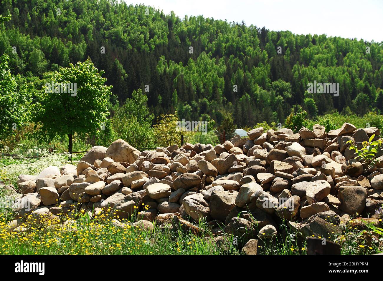 Grove Rocks Pile of rocks over grove of green trees Stock Photo - Alamy