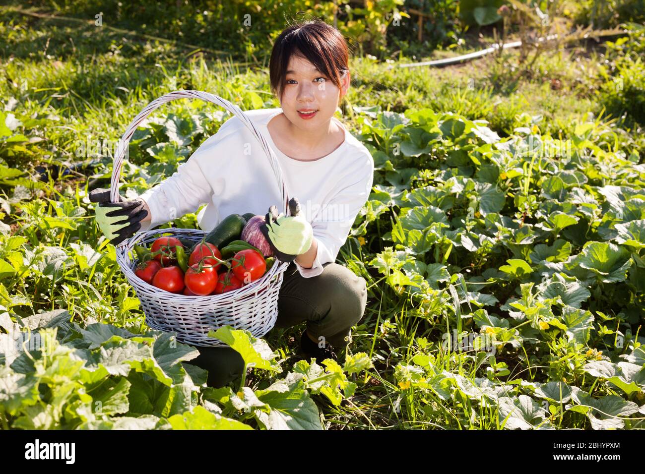 Young Asian female gardener holding basket full of vegetable harvest on ...