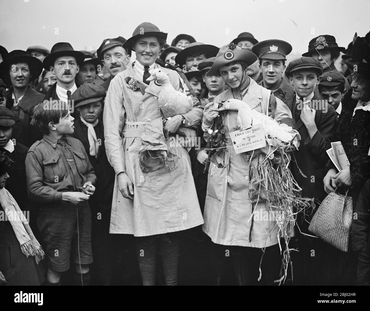 Womens land rally in Hyde Park - land girls with their ducks - - 17 November 1917 - - sign says:  I have laid 31 eggs in 34 days and I am still doing it Stock Photo