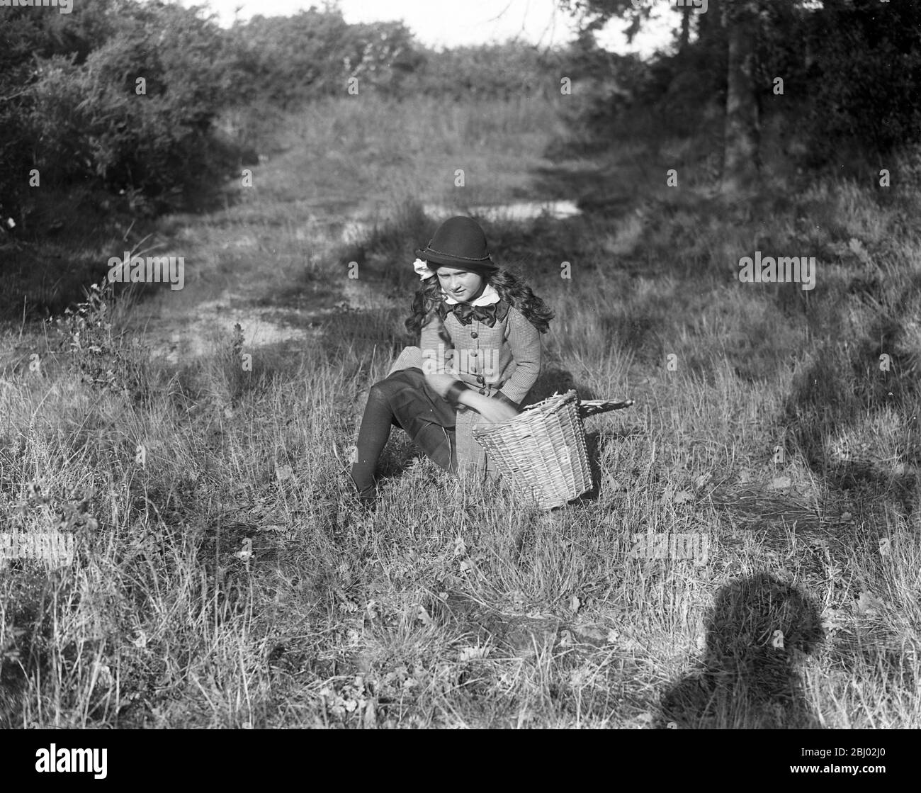 A young girl collecting acorns for feeding pigs and sheep . - 31 October 1916 Stock Photo