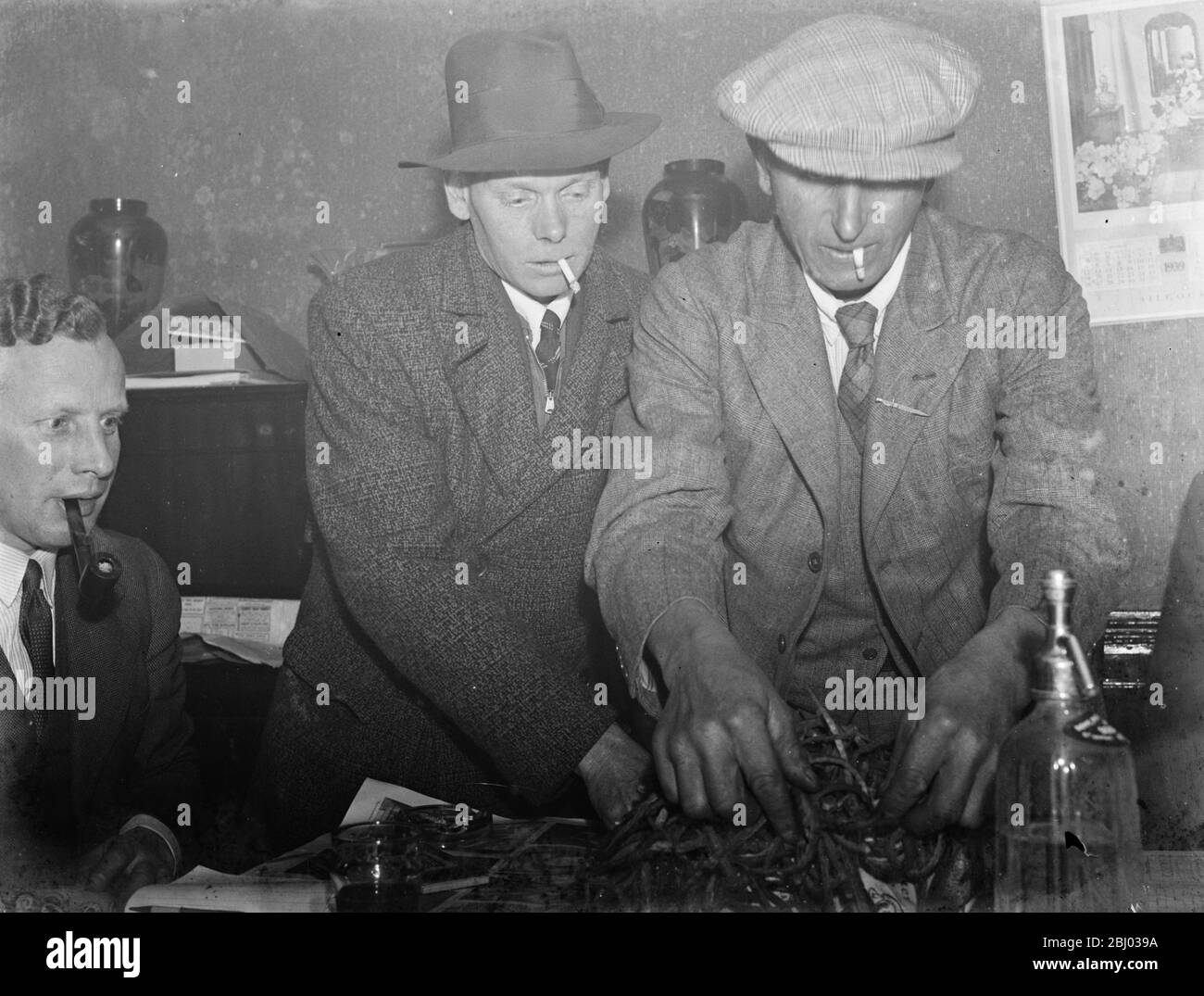 Paying in night at the Rat and Sparrow Club in Eynsford , Kent . - Members get paid according to the number of rat 's tails in their catch . - 1939 Stock Photo
