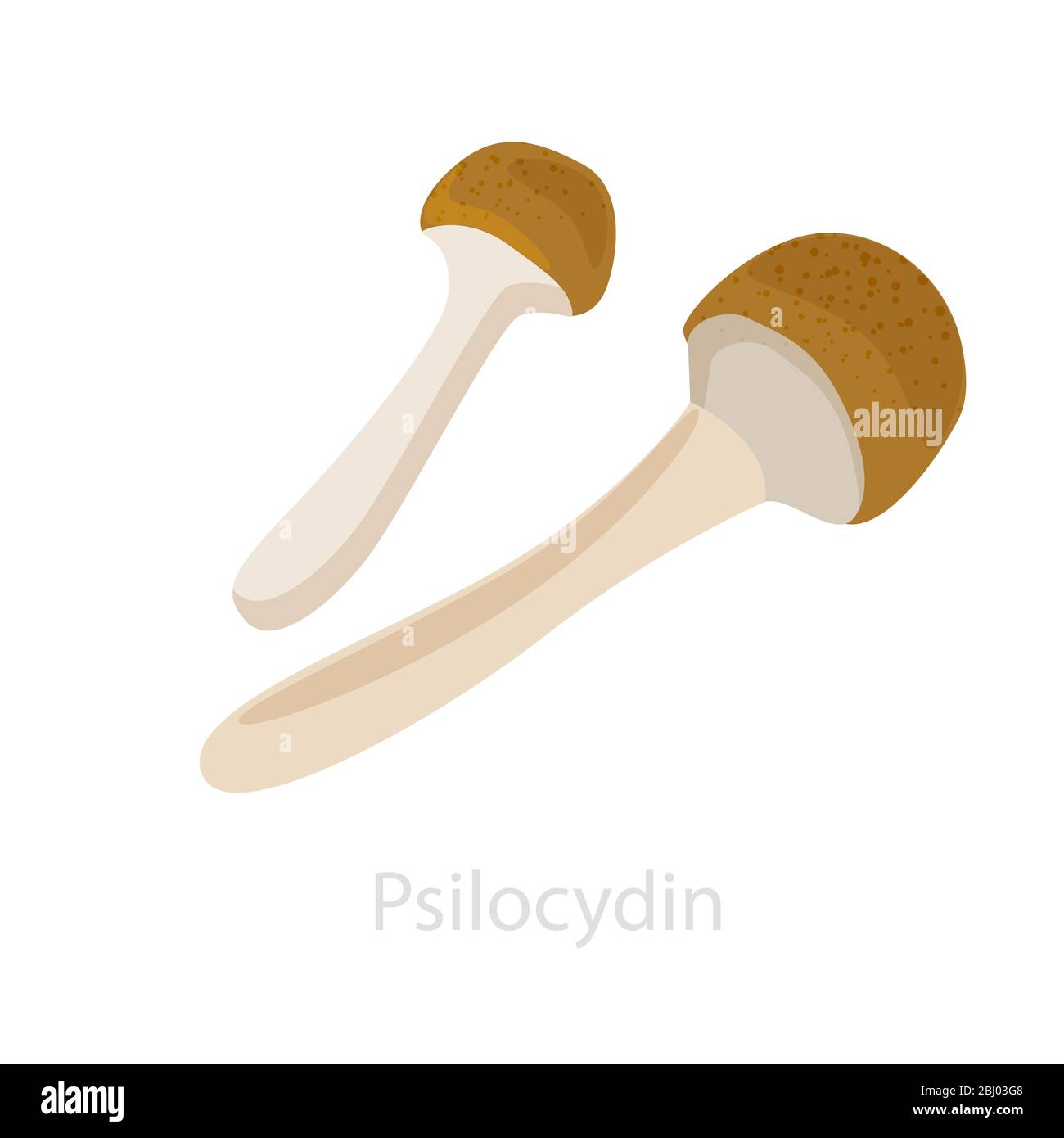 Image of psilocybin mushrooms. The concept of the psychedelic mushroom Stock Vector