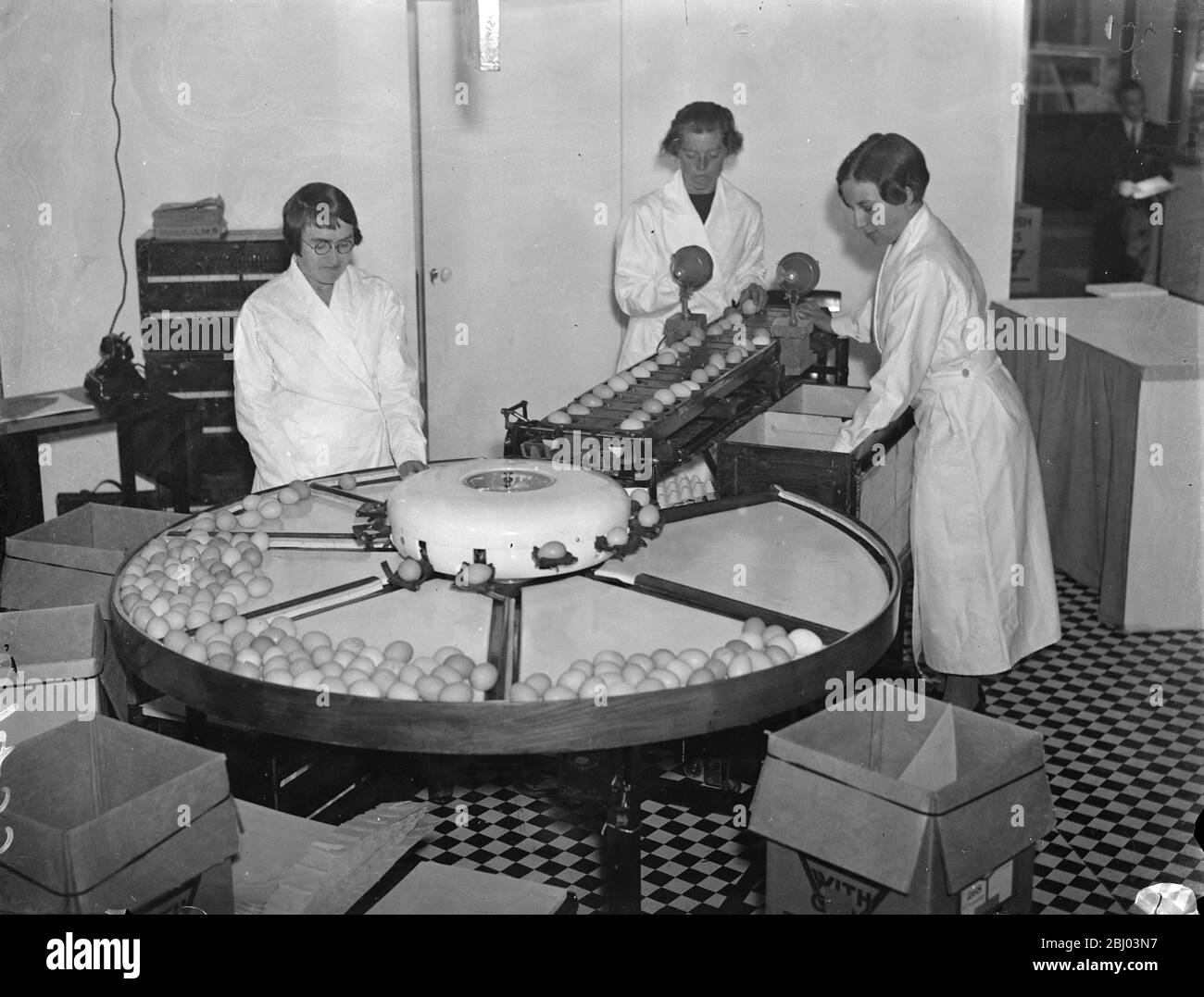 A girl demonstrating an egg grading machine which automatically creates 3600 eggs in an hour dividing them into four different weights. This was shown at the grocers exhibition which has opened at the Royal agricultural Hall, Islington. - 18 September 1937. Stock Photo