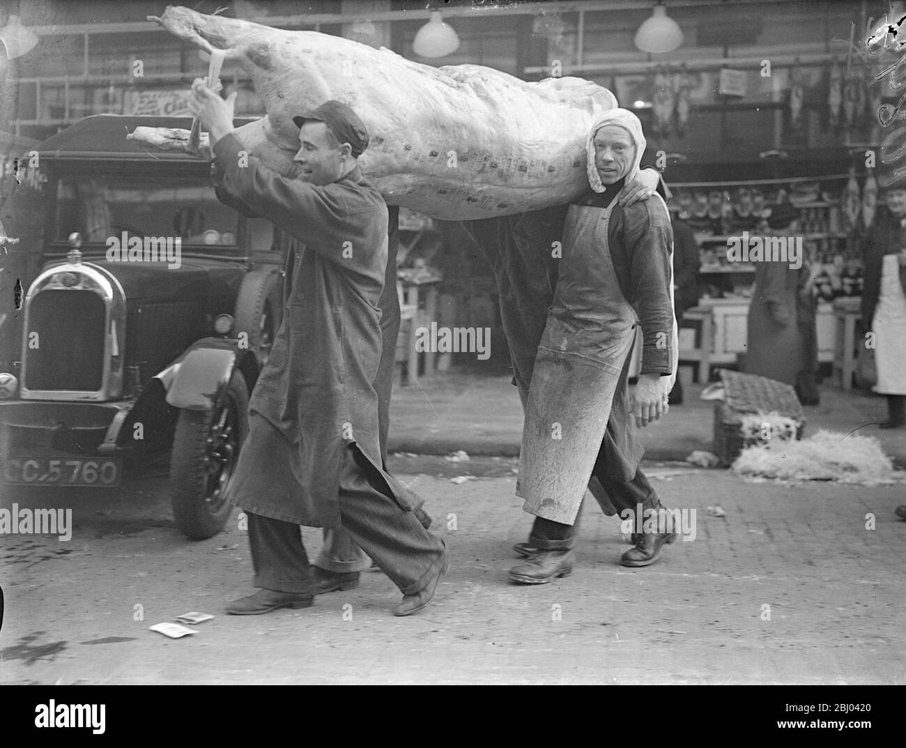 A Baron of beef, weighing 30 stone has arrived at Smithfield Market on its way to the Lord Mayor's banquet, which takes place on - 9 November - . - Photo shows,porters carrying two weighty Baron of beef at Smithfield. - 5 November 1937 Stock Photo