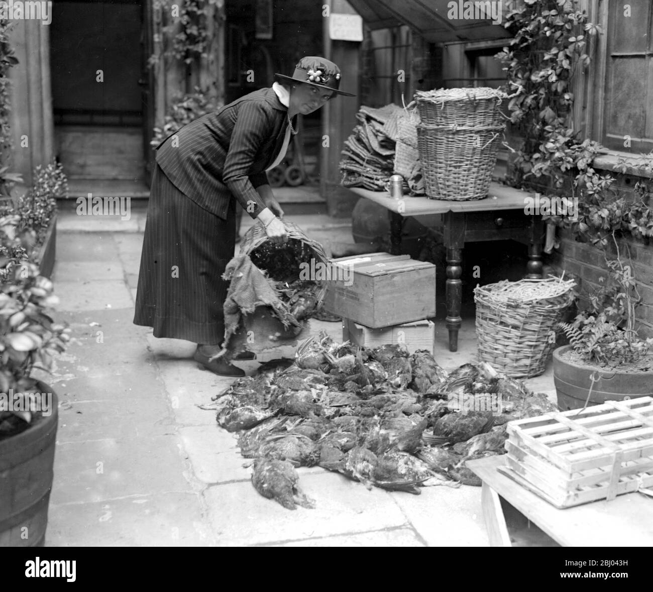 Game for wounded soldiers sorting them at Pickering Place Stock Photo
