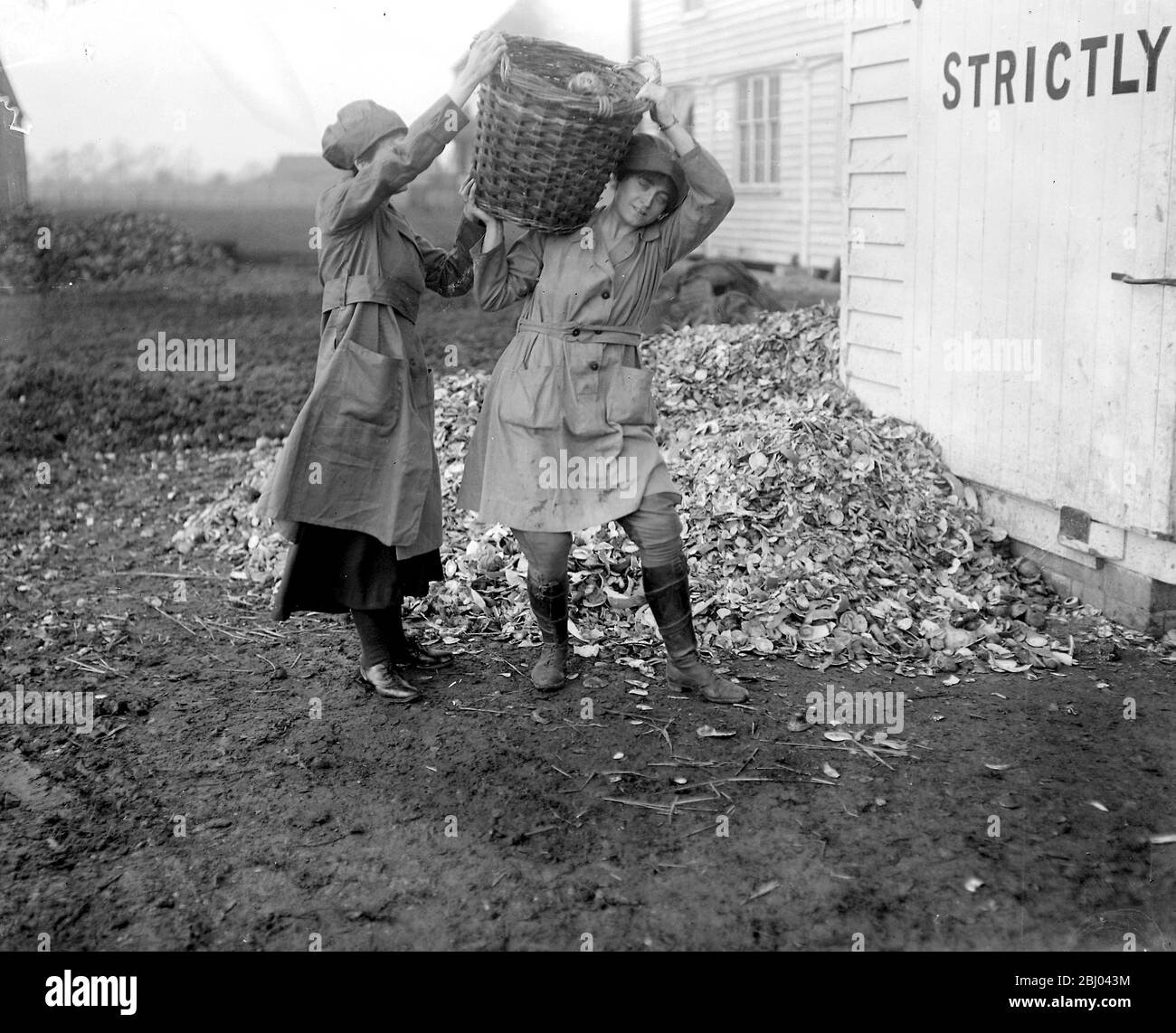 Old hop kilns used in a new village industry in kent - A vegetable drying factory has been organised by the ministry of food, where women are taught to dry all sorts of vegetables in case of any shotage during the coming spring. - 2nd Feburary 1918 Stock Photo