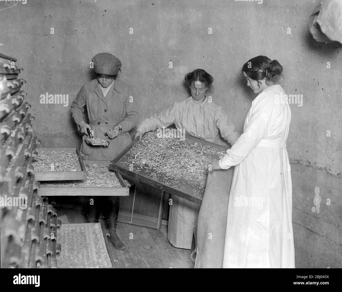 Old hop kilns used in a new village industry in kent - A vegetable drying factory has been organised by the ministry of food, where women are taught to dry all sorts of vegetables in case of any shotage during the coming spring. - 2nd Feburary 1918 Stock Photo