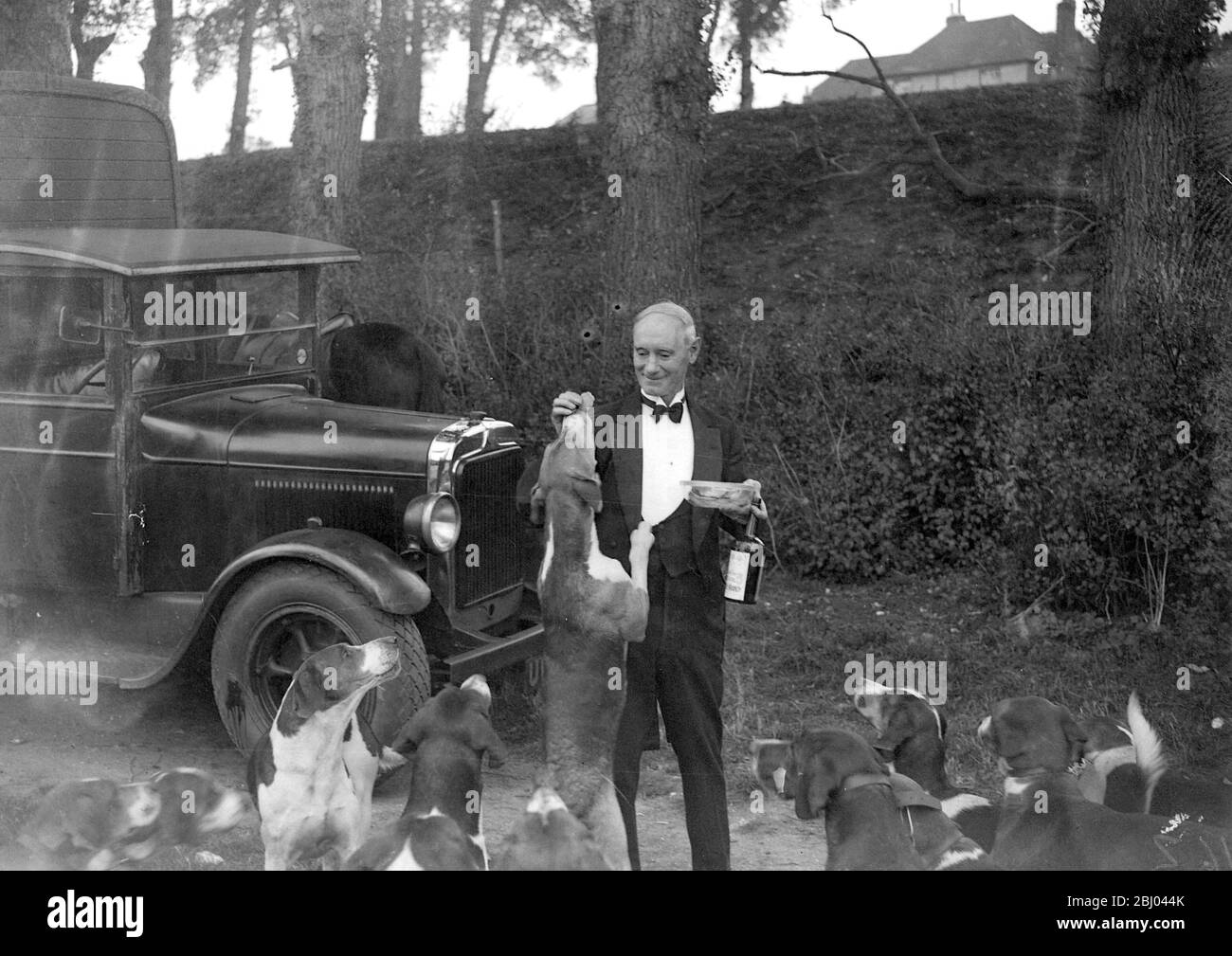 The Royal Artillery (RA) Drag hunt at Green St Green, Kent. Feeding the hounds. - 1934 Stock Photo