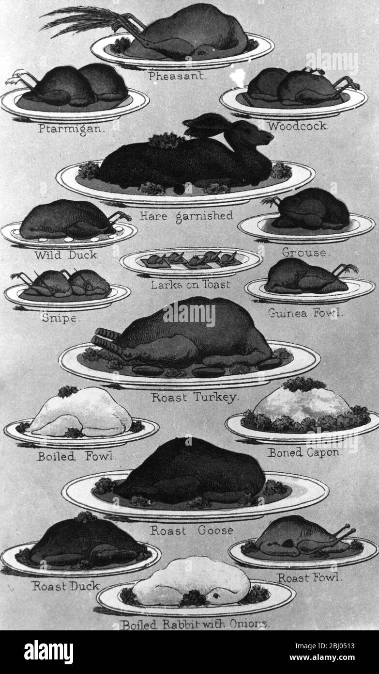 Illustration showing different types of meat and game including pheasant, woodcock, ptarmigan, hare, wild duck, grouse, larks on toast, guinea fowl, snipe, roast turkey, boiled fowl, boned capon, roast goose, roast capon, roast fowl, roast duck, boiled rabbit with onions. Stock Photo