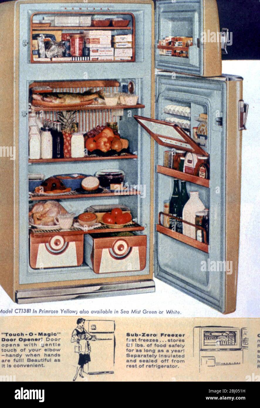 USA - 1950s style fridge advertisement - Stock Photo