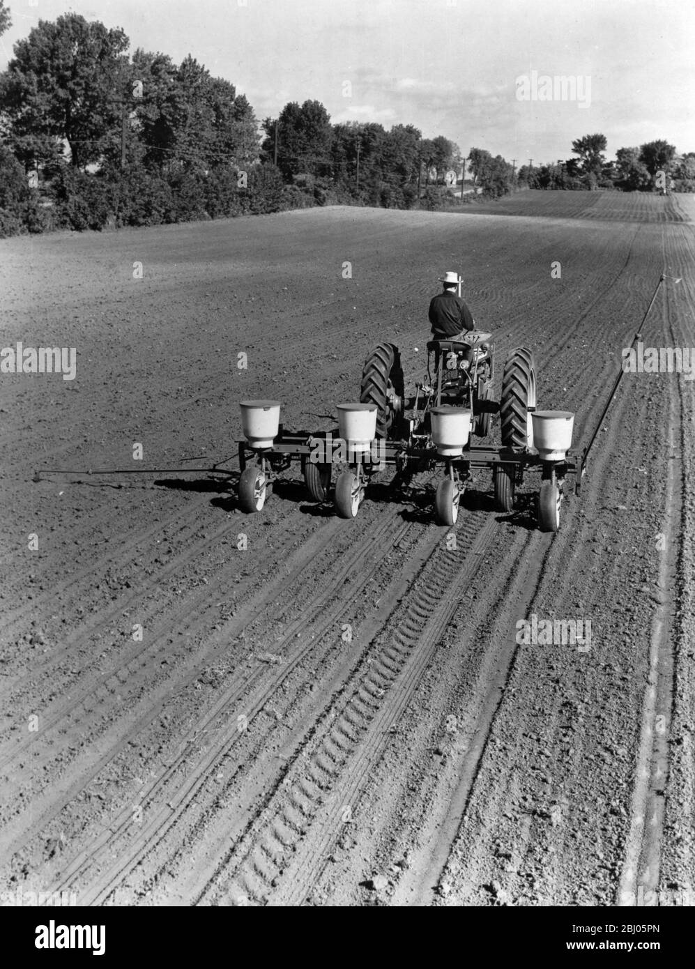 As a result of US tracer research, which proved the advantage of palacing corn fertilizer deep in the soil, the International Harvester Company designed, built and made available to farmers an improved corn planter. The disc type applicator on this new four row planter deposits fertilizer four inches underground on each side of the seed row. Use of the planter has resulted in much larger corn yields and increased profits for farmers - September 12th Stock Photo