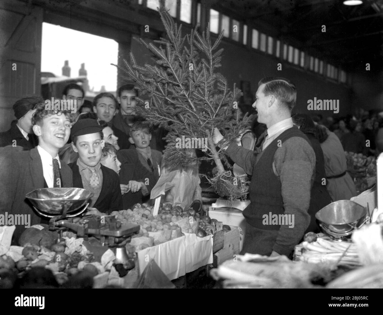 Christmas Tree in Shop in Gravesend. - December 1946 - Stock Photo
