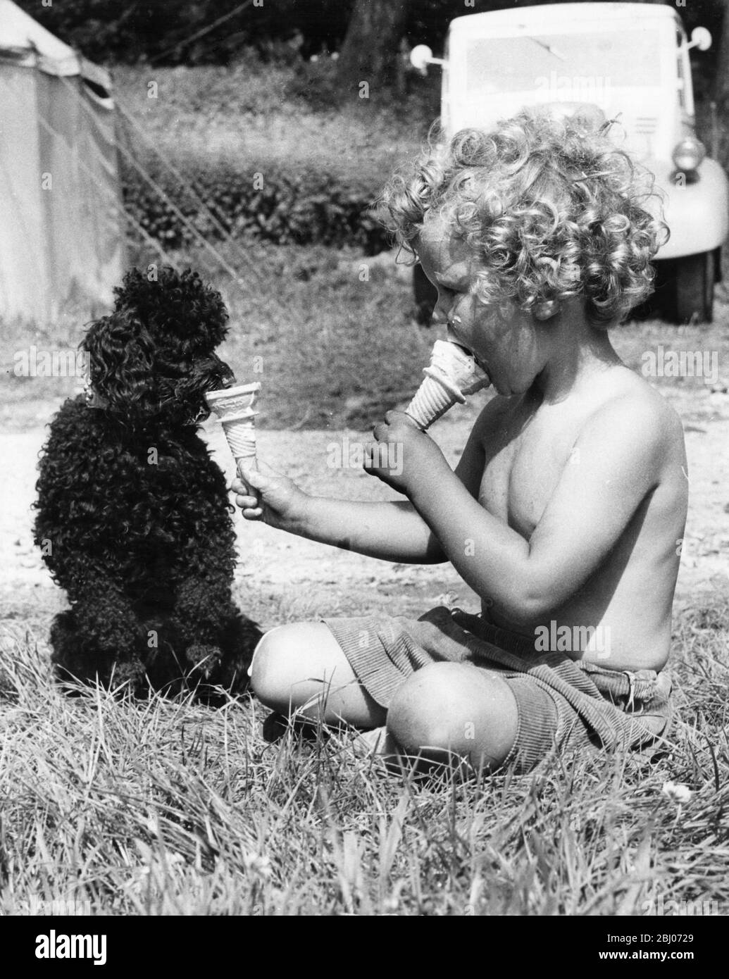 4 year old Jonathan Davies and the black poodle share ice cream at the International Eisteddfod at Llangollen, July 1958 Stock Photo