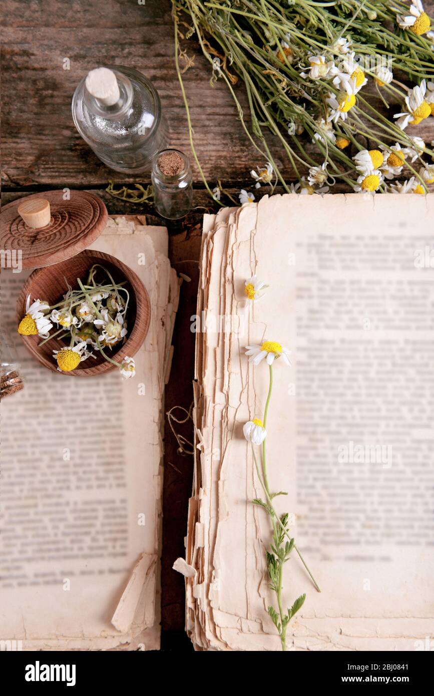 Old book with dry flowers in mortar on table close up Stock Photo