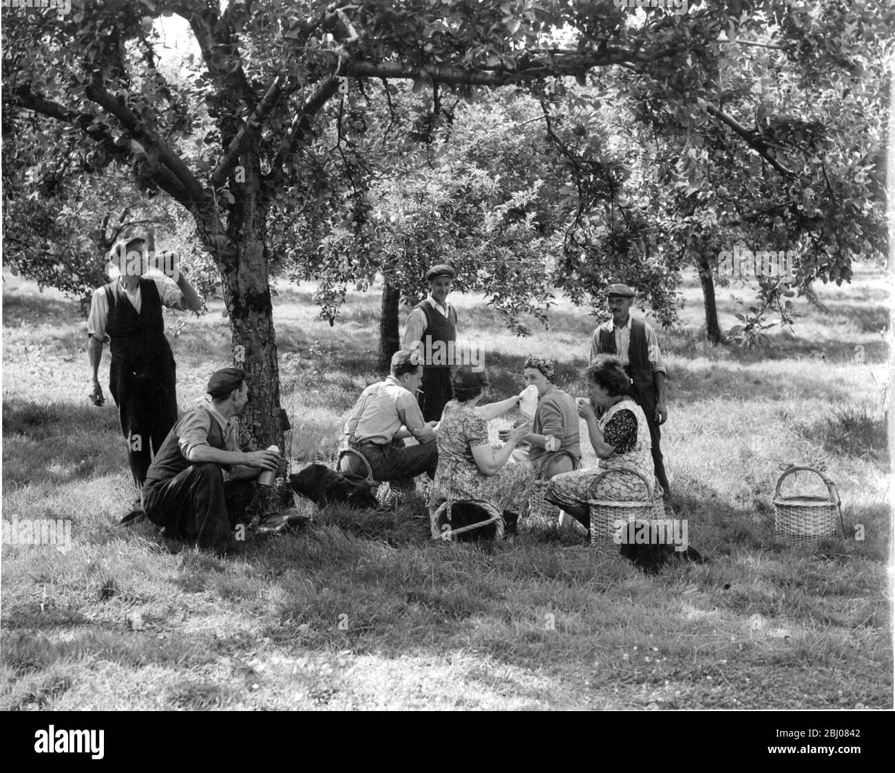 Tea picnic Black and White Stock Photos & Images Alamy