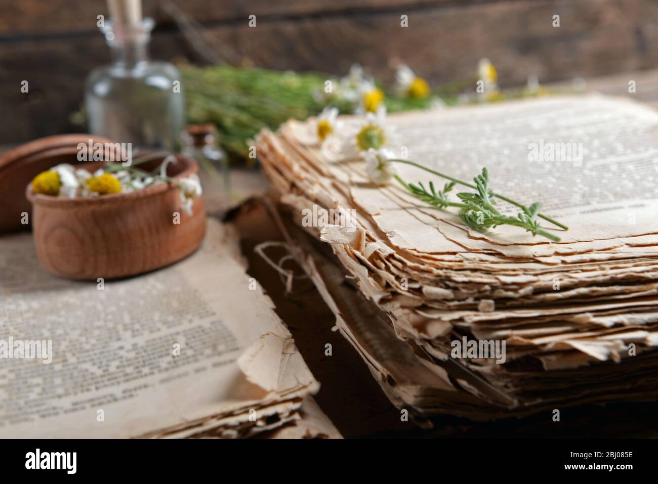 Old book with dry flowers in mortar on table close up Stock Photo