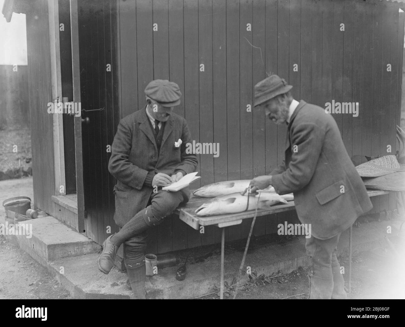 Salmon Fishing on the Wye at Hampton Bishop . Booking the length and neck girth - 30 September 1922 Stock Photo