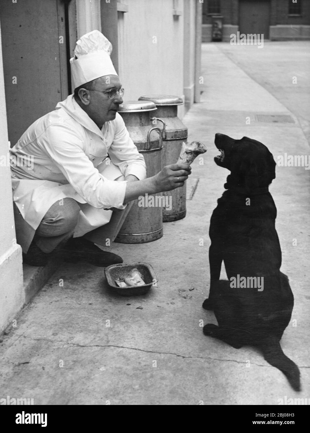 Chef Andrew Schillar gives a dog a bone from the side entrance of his kitchen. - undated Stock Photo