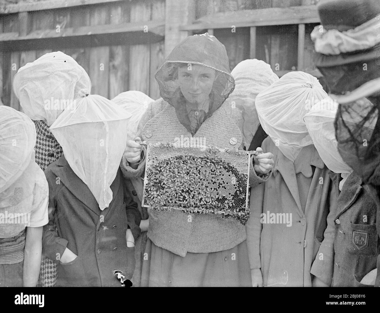 A beekeeping class is an innovation at Wood Lane, Shepherd's Bush, London open-air school. The pupils are protected by gauze face masks and handled the bees without fear. A pupil holding a brood frame of bees. - 1 September 1937 Stock Photo