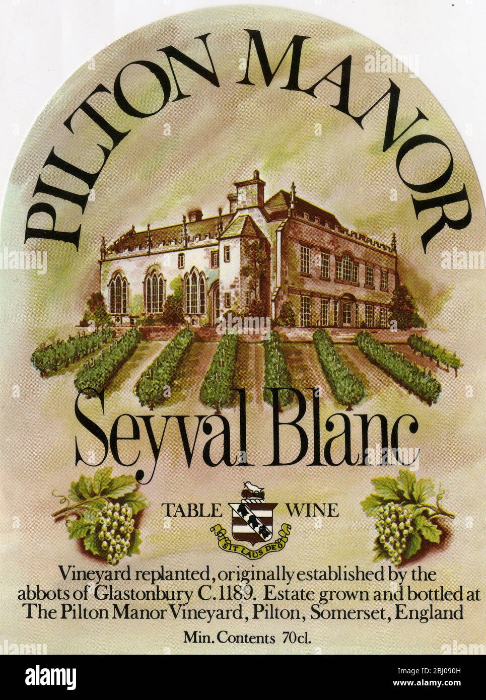 Wine Label - Pilton Manor Table Wine. A Seyval Blanc vine variety. Produced by Nigel de Marsac Godden in Pilton, Somerset. Stock Photo