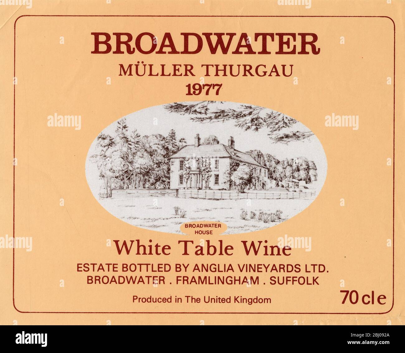 Wine Label. - Broadwater. Muller Thurgau. 1977. - White Table Wine. Estate Bottled by Anglia Vineyards Ltd. Broadwater. Framlingham. Suffolk. Produced in the United Kingdom. 70cl. Stock Photo