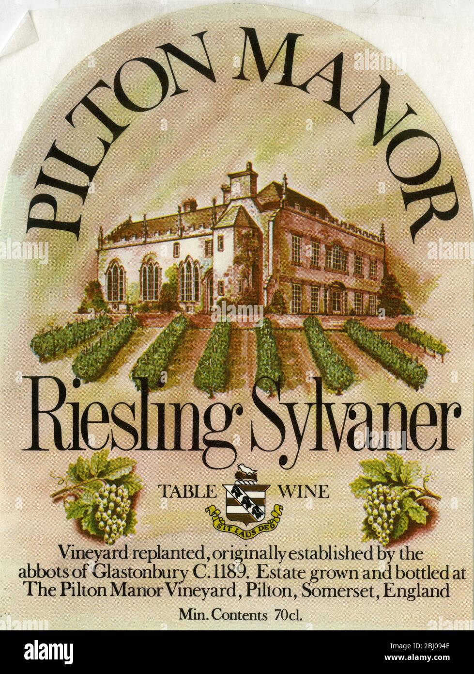 Wine Label. - Pilton Manor. Riesling Sylvaner. Table Wine. Vineyard replanted, originally established by the abbots of Glastonbury C. 1189. Estate Grown and Bottled at The Pilton Manor Vineyard, Pilton, Somerset, England. Stock Photo
