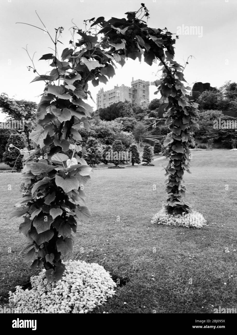 A vine arch at Powis Castle Powis Castle, Wales. The Castle is seen in its impossing position through the arch in the kitchen garden. Stock Photo