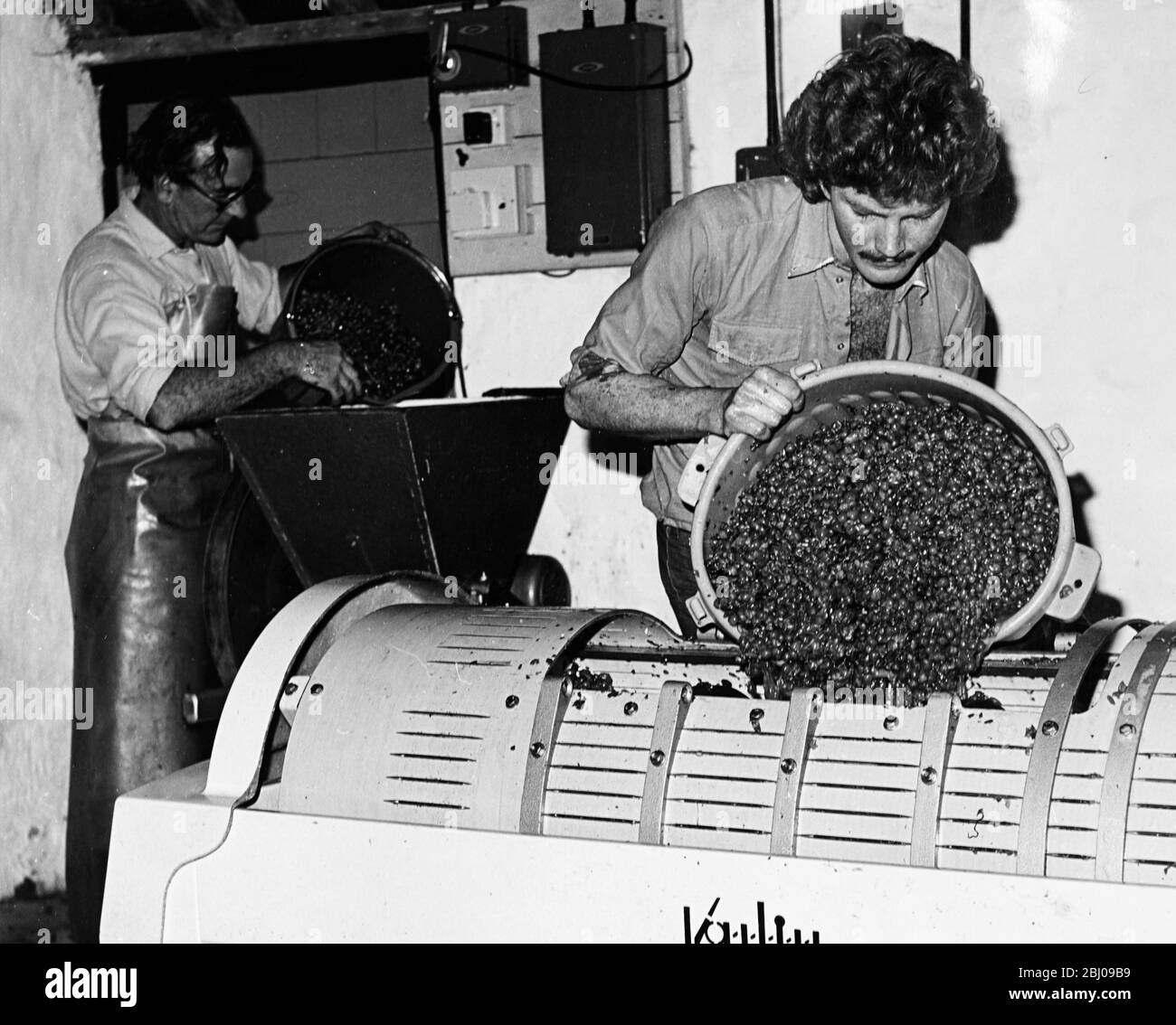 Modern wine press. With Cusher behind. Wootton Vines. - English Vineyard. Wootton Vines Shepton Mallet Somerset. Stock Photo