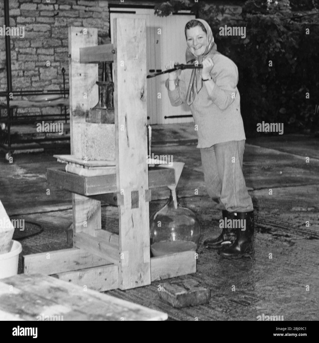 Picture shows: Home made wine press, with pressure applied by a car jack. Wootton vines. Stock Photo