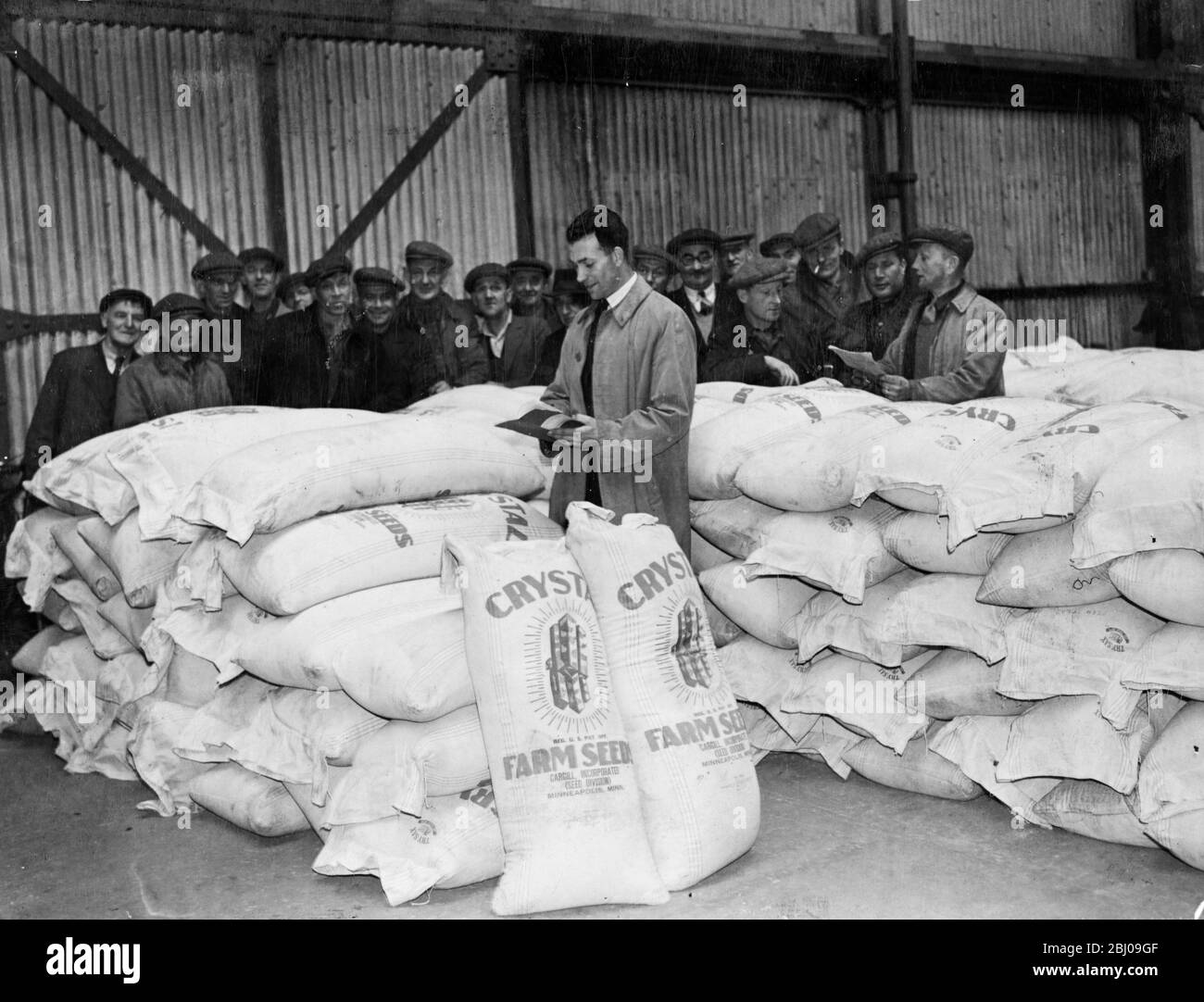 Dockers at Southampton were busy unloading a valuable cargo from the 85,000 ton liner Queen Elizabeth, which arrived from New York. 500 t of linseed was needed for sewing on 11,000 acres of recently flooded fenlands, and linseed is the most suitable crop. The Ministry of Food pointed out that the seed must be here by the beginning of May so the Conrad White Star owners gave this cargo top priority in place of the ship's normal luxury luggage. - Picture shows: the sacks of linseed are stacked in a shed at Southampton after being unloaded from the Queen Elizabeth. - 2 May 1947 Stock Photo