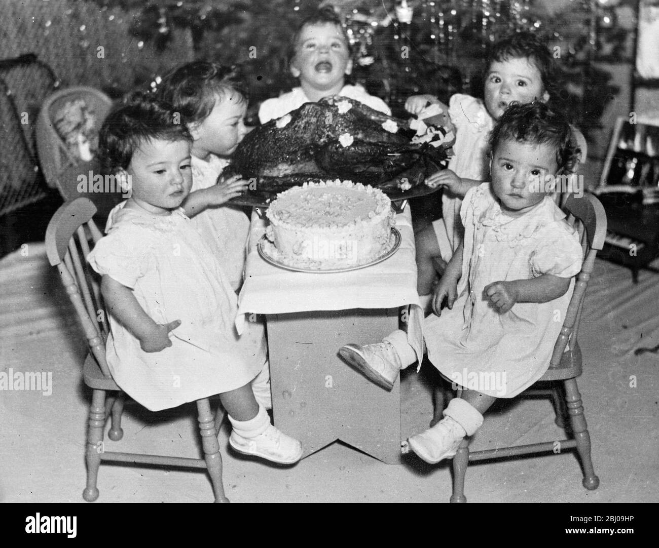 Exclusive pictures of the Dionne Quintuplets Christmas Party . - Faced with a huge turkey and an equally large cake , the Quins didn't know where to start . Emelie , however , always the foremost of the babies , seems tempted by the bird . - 23 December 1935 Stock Photo